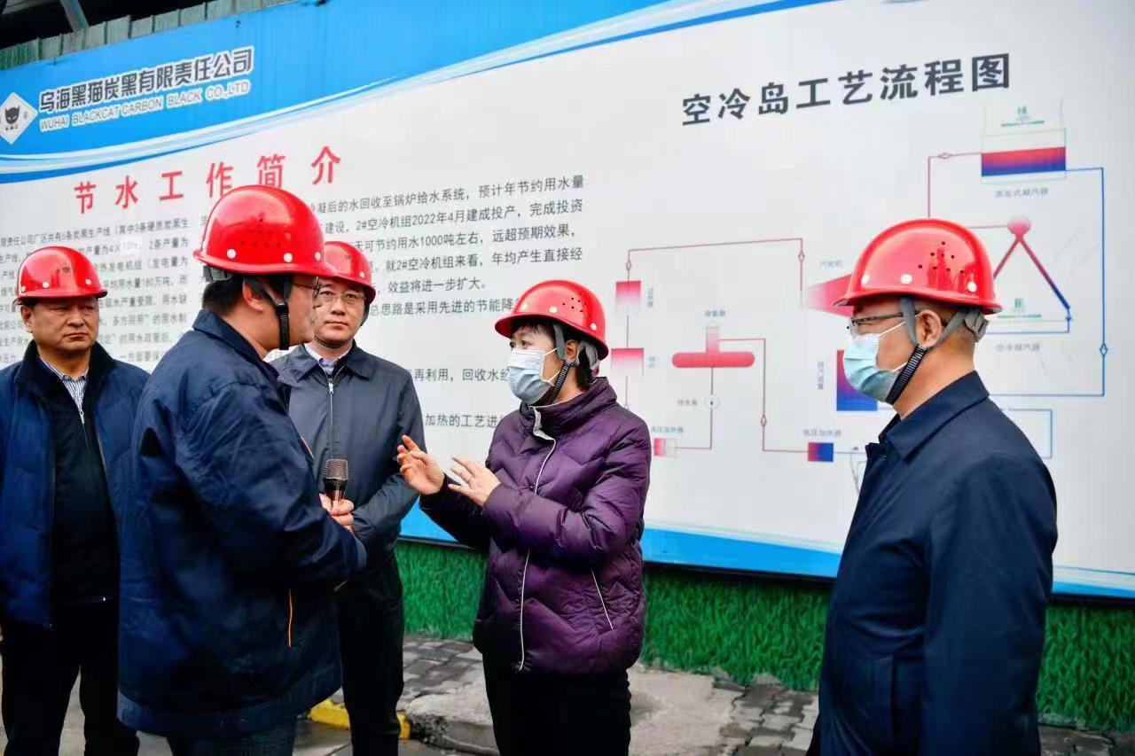 崔景英一行莅临乌海太阳成集团tyc138调研指导 (1).jpg