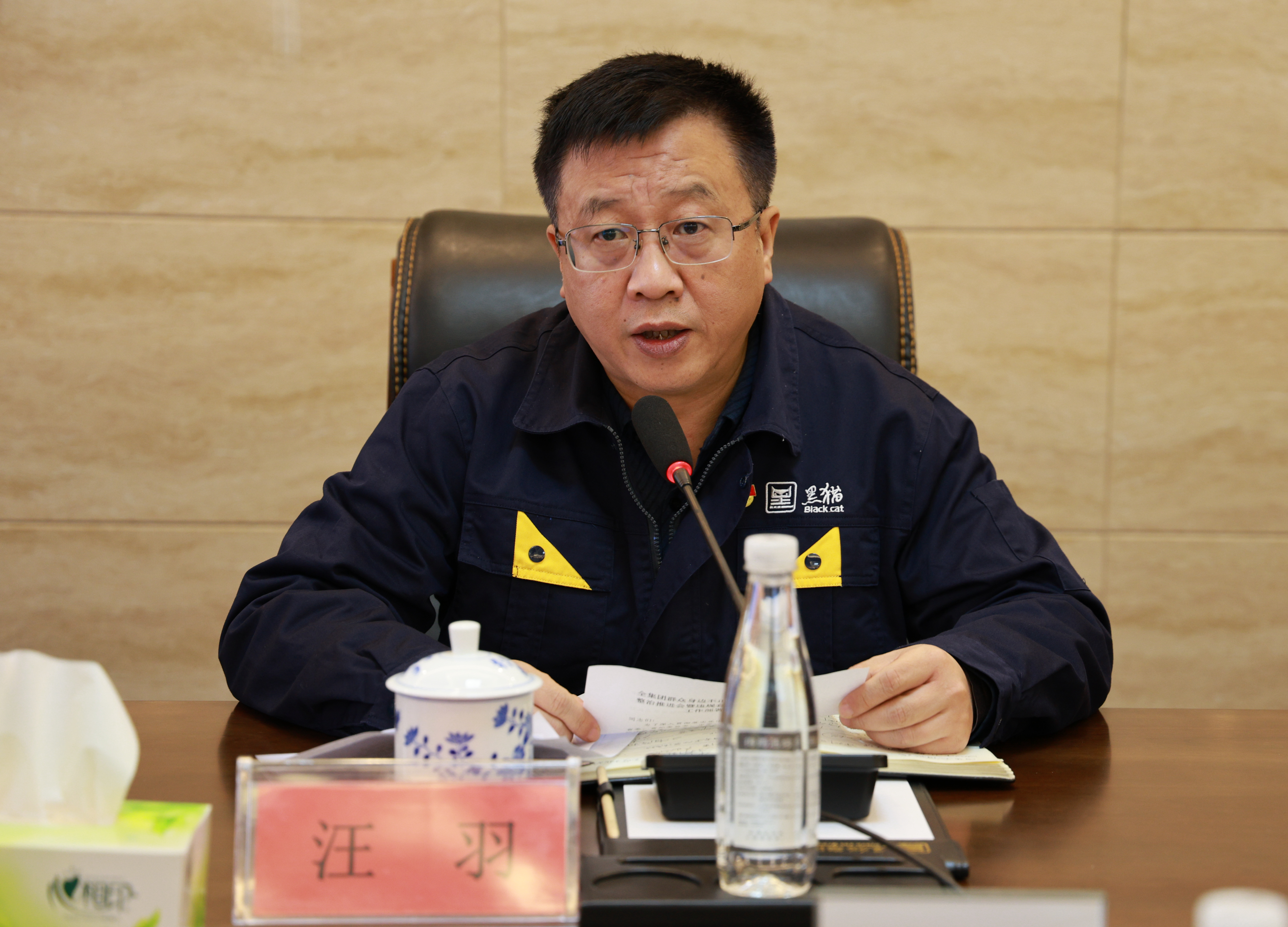 图2 汪羽讲话.jpg